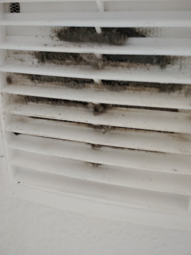 Photo from customer review