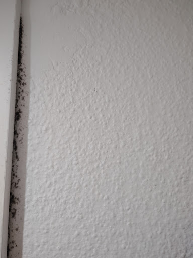 Photo from customer review